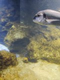 IMG_20220715_131810