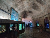 IMG_20220715_132823