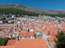 IMG_20220714_154721